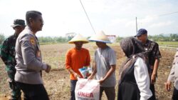 DUKUNG PROGRAM KETAHANAN PANGAN POLRESTA BANYUMAS TANAM  BIBIT JAGUNG DAN TABUR BENIH  IKAN