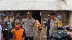 Polres Lumajang Sukses Ungkap Pencurian Sapi, Dua Ekor Dikembalikan