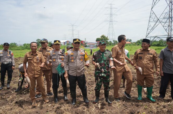 
					Dukung Swasembada Pangan, Polres Probolinggo Kota Tanam Jagung Serentak