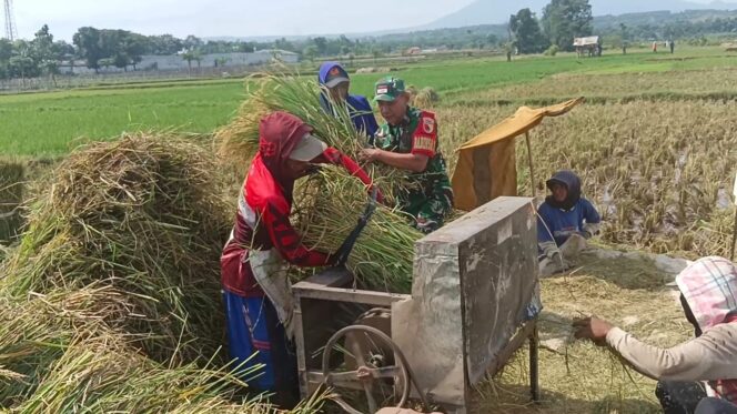 
Koramil Maron Ikut Sukseskan Gerakan Antisipasi Darurat Pangan Nasional