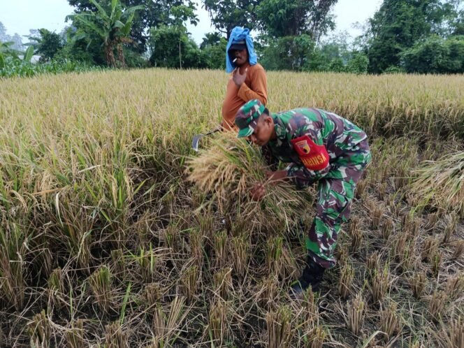 
					Kodim 0820/Probolinggo Dukung Program Sergap di Desa Brumbungan