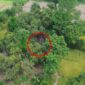 Polres Pasuruan Kota Gunakan Drone untuk Bongkar Lokasi Sabung Ayam Ilegal di Nguling