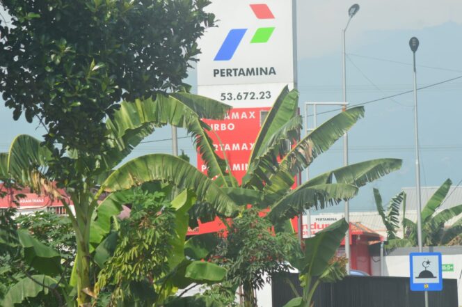 
Diduga Tengkulak Kuasai SPBU Muneng, Konsumen Resah dan Lapor Pertamina