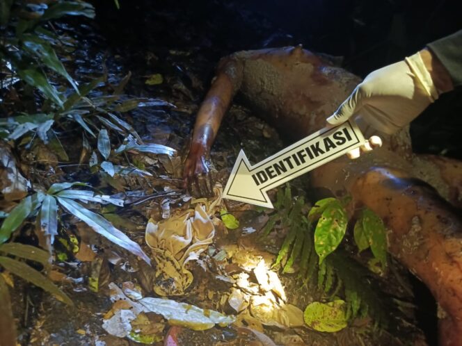 
Warga Desa Bagak Geger Temuan Mayat Telanjang di Kebun Sawit