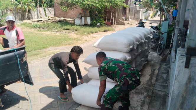 
Koramil Kanigaran Aktif Dukung Serapan Gabah Demi Ketahanan Pangan