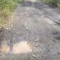 LPLH TN Probolinggo Soroti Tambang Galian C Perusak Lingkungan dan Jalan di Tongas