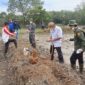 Danramil Banua Lawas Dukung Aksi Massal Kendalikan Hama Tikus Sawah