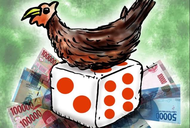 Perjudian Sabung Ayam dan Dadu Marak di Desa Bono, APH Dinilai Tutup Mata