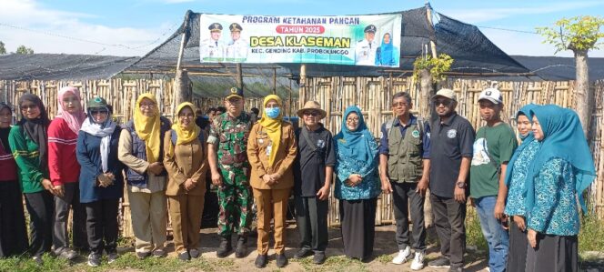 
Kodim 0820/Probolinggo Dorong Ketahanan Pangan Lewat Tanam Asam, Tabur Lele