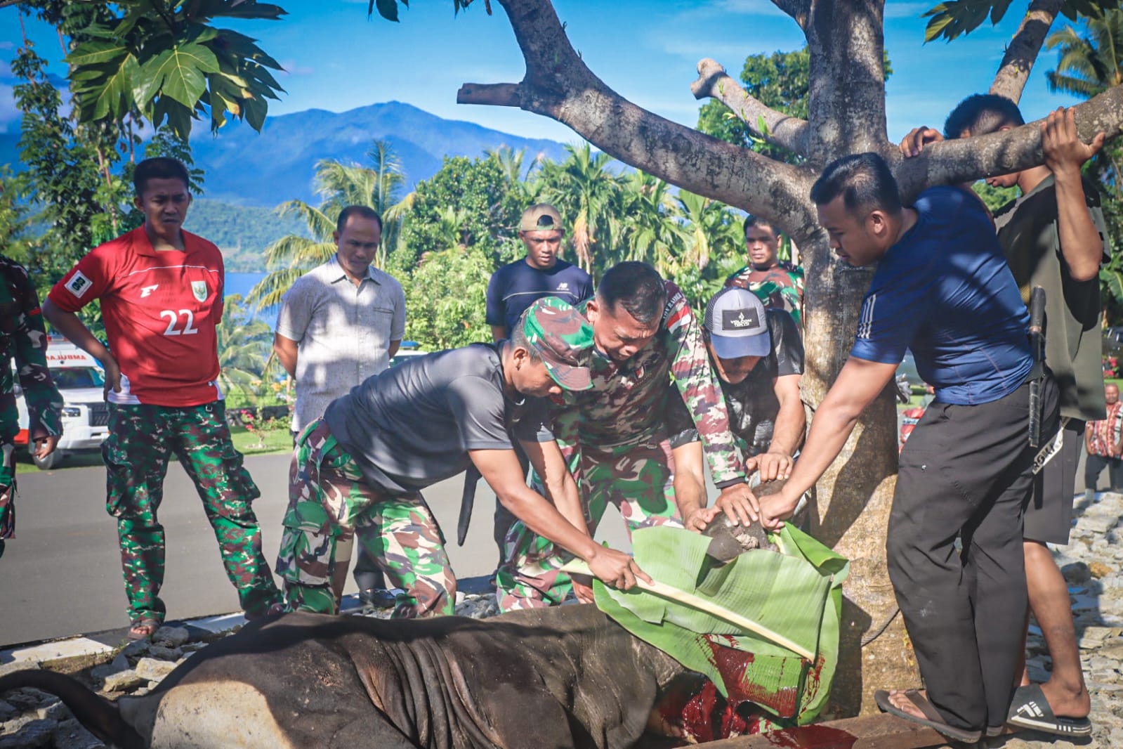 Berbagi Menyambut Idul Adha 1446 H, Pangdam Berikan Tiga Ekor Sapi Qurban di Masjid Istiqlal Kodam XVIII/Kasuari