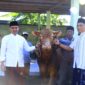 Kodim 0820 Probolinggo Gelar Salat Idul Adha dan Kurban