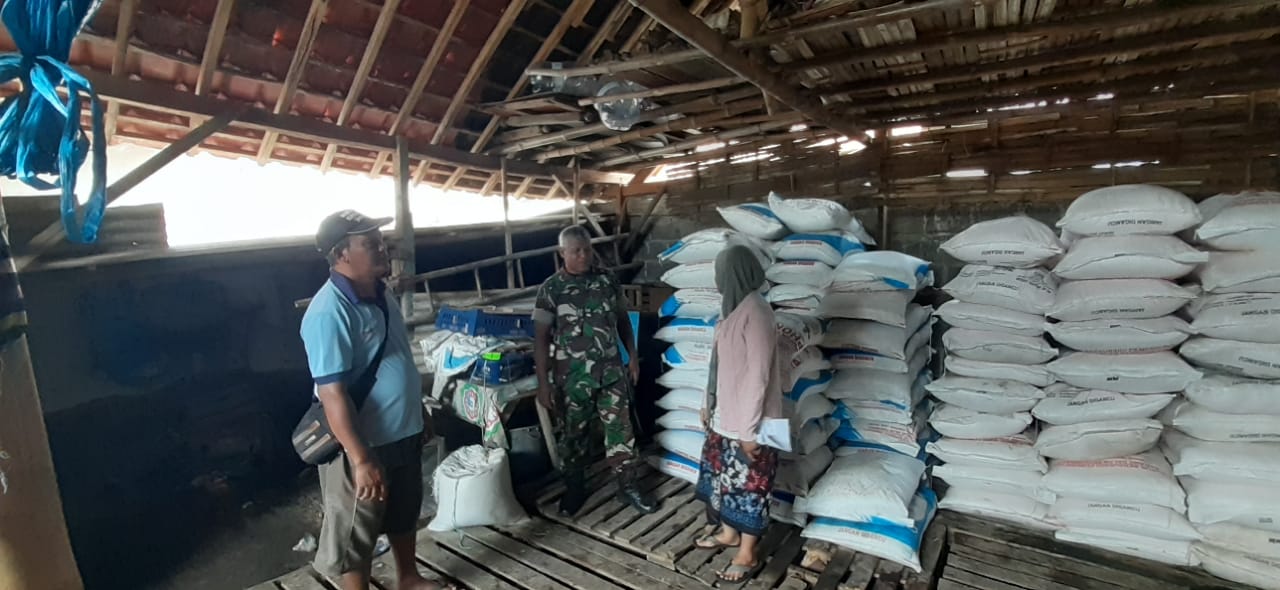 Cegah Krisis Pangan, Koramil Sumberasih Intensif Pantau Pupuk Subsidi