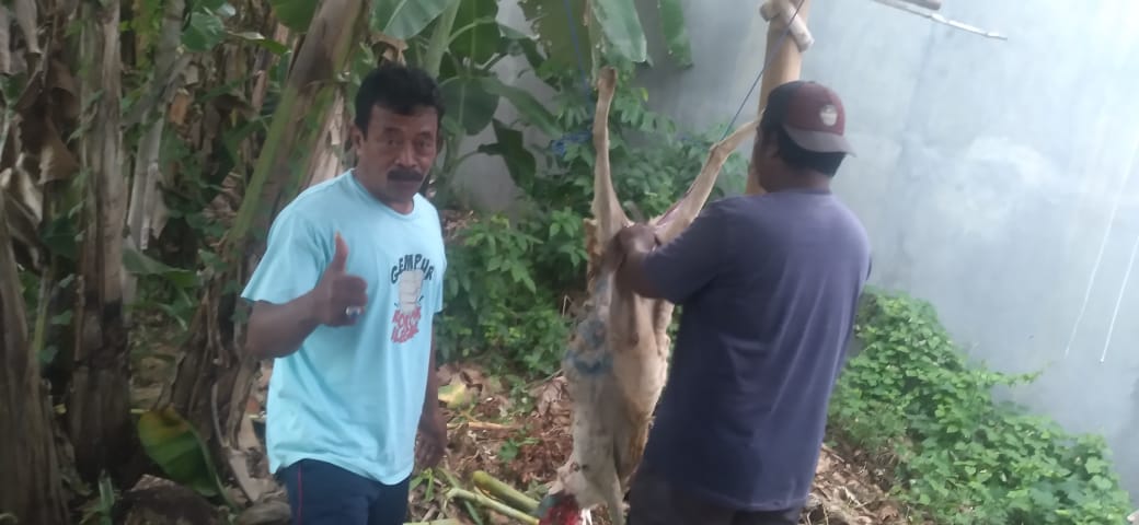 AWPR Probolinggo Rayakan Idul Adha dengan Kurban dan Berbagi Sesama