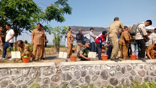 Kodim 0820 Tanam Pohon Gaharu, Kolaborasi Hijau di Kota Probolinggo