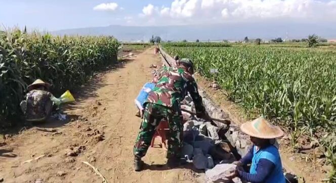
Koramil Sumberasih dan Warga Muneng Kidul Bangun Saluran Irigasi
