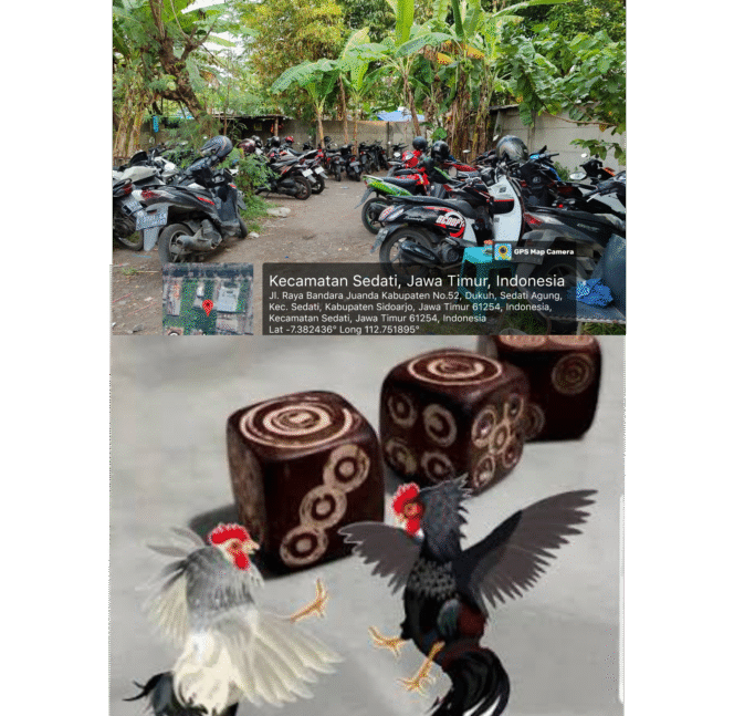 
					Perjudian Sabung Ayam dan Dadu di Kecamatan Sedati Makin Marak, Warga Desak Penegakan Hukum