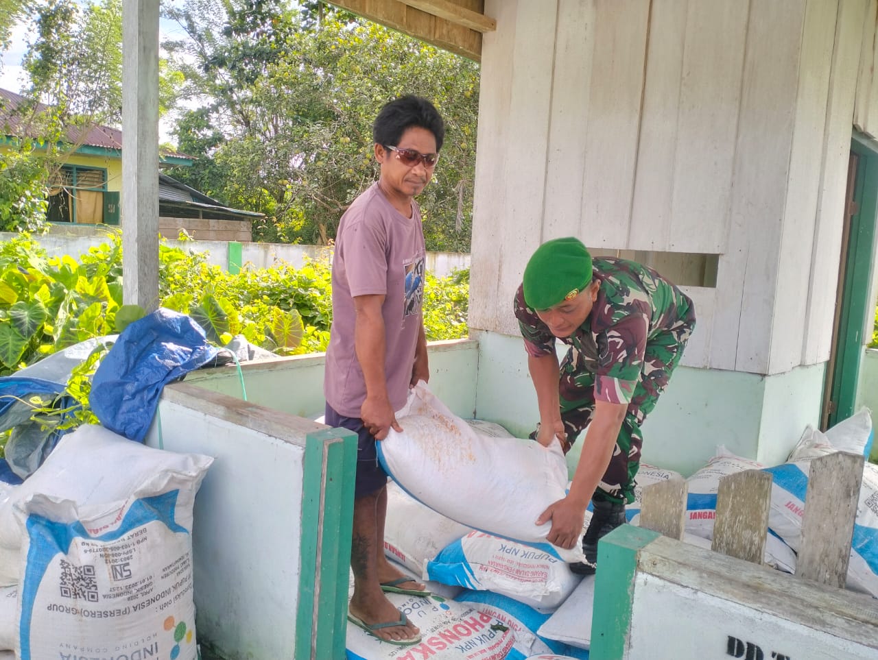Babinsa Koramil 1505-03 Maba Dampingi Pembagian Pupuk kepada Petani