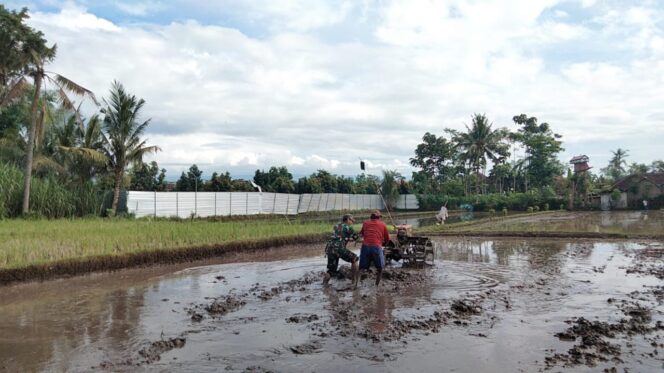 
Koramil Banyuanyar Dampingi Petani Sukseskan Gerakan Antisipasi Pangan Nasional