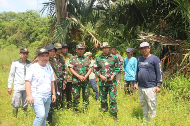 Dukung Swasembada Pangan, Dandim Tabalong Lakukan Peninjauan Lahan Pertanian