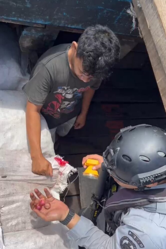 
					Bakamla RI Amankan Kapal Selundupkan Bawang Merah