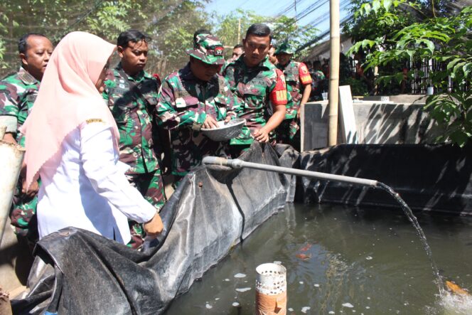 Buka Peluang Usaha, Anggota Kodim 0820/Probolinggo Ikuti Pelatihan Budidaya Lele