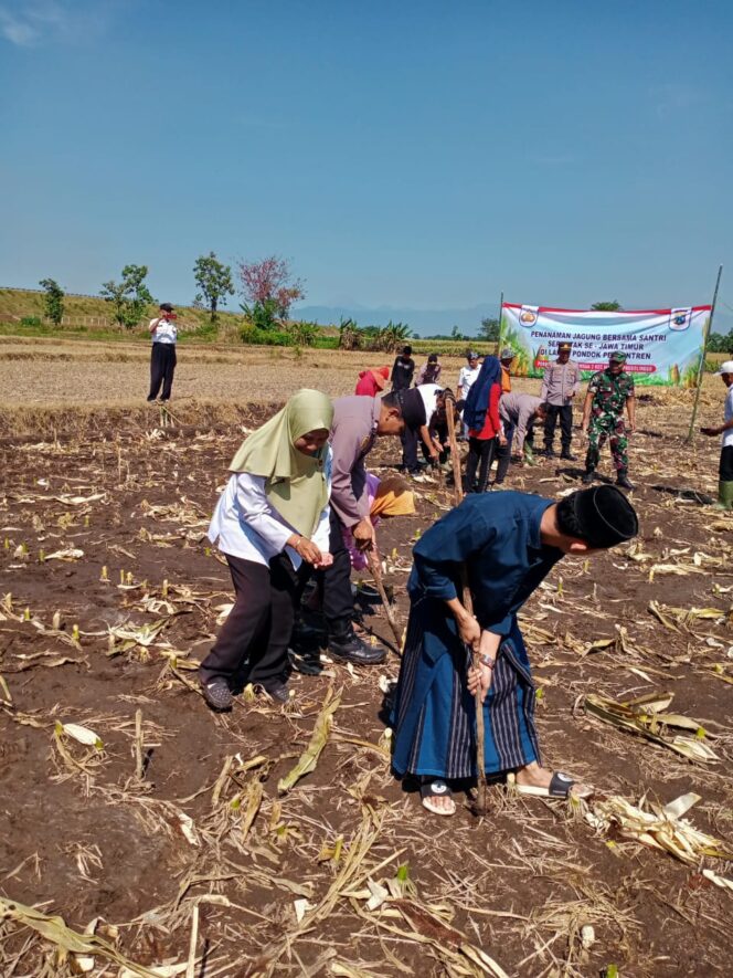 Koramil Maron Hadiri Aksi Tanam Jagung Serentak Santri Indonesia