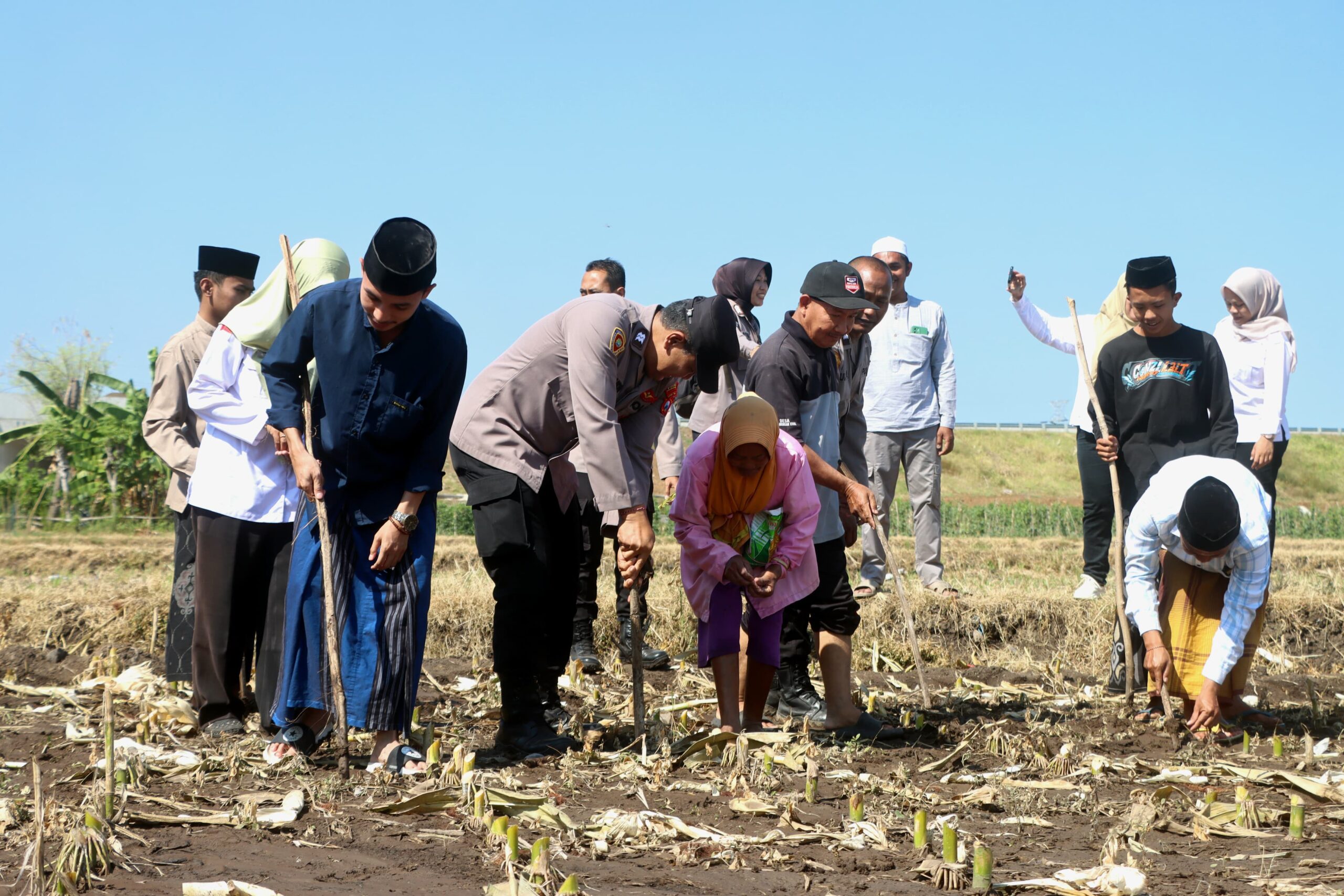 Program Polri Peduli, Polres Probolinggo Tanam Jagung Serentak