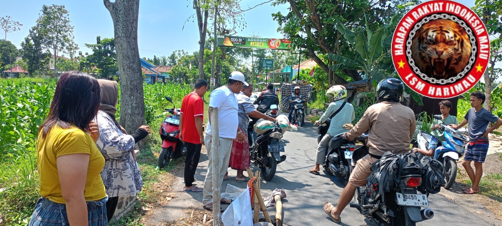Jalan Berlubang di Pakuniran Makan Korban, LSM Harimau Geram