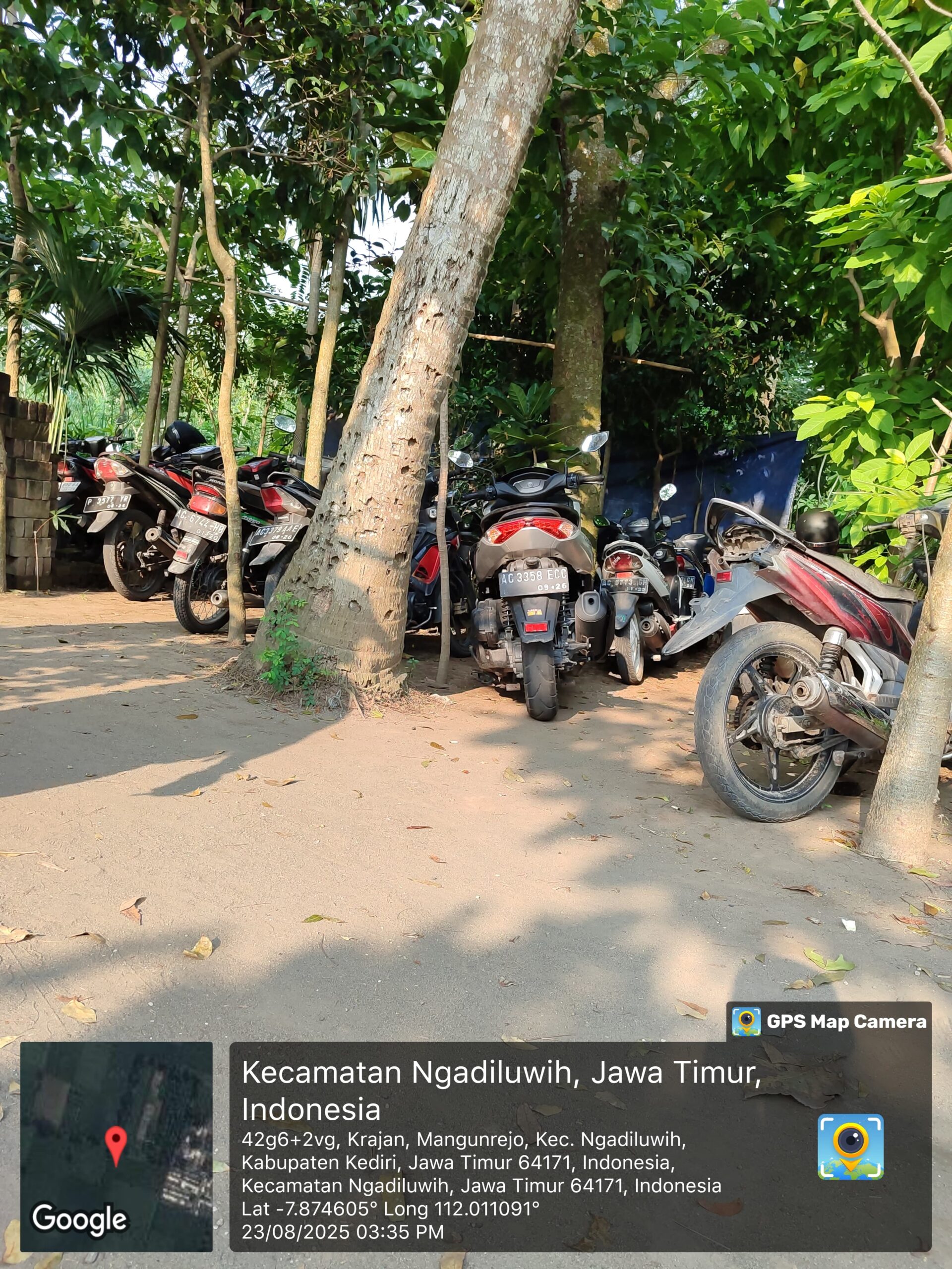 Perjudian Sabung Ayam di Desa Mangunrejo, Warga Resah dan Minta Aparat Bertindak