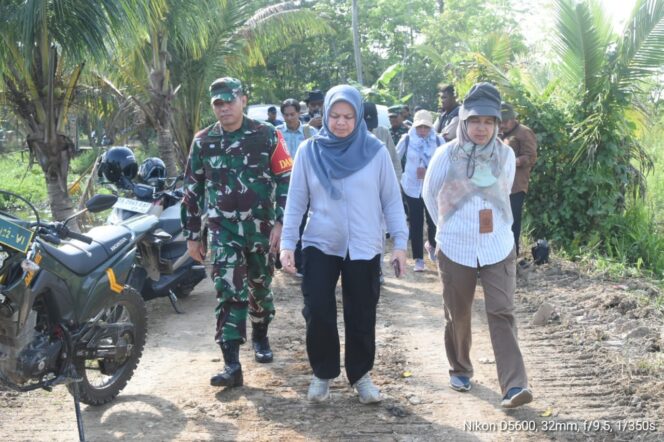Sinergi Kementan dan TNI, Tim Was Dirjen PSP Pantau Program Cetak Sawah di HST