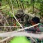 Hasty Defence Jadi Puncak Latihan Jungle FTX Super Garuda Shield 2025