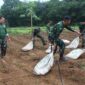 Kodim 1008/Tabalong Ubah Lahan Tidur Jadi Perkebunan untuk Dukung Ketahanan Pangan Kodim 1008/Tabalong Ubah Lahan Tidur Jadi Perkebunan untuk Dukung Ketahanan Pangan