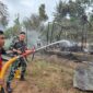 Rumah Warga di Batang Alai Selatan Terbakar, Diduga Akibat Korsleting Listrik