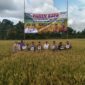 Panen Raya Padi di Jaro, Babinsa Tegaskan Komitmen Dukung Ketahanan Pangan