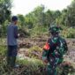 Cetak Sawah di Desa Wayau: Bukti Nyata Peran TNI AD dalam Ketahanan Pangan Nasional Cetak Sawah di Desa Wayau: Bukti Nyata Peran TNI AD dalam Ketahanan Pangan Nasional