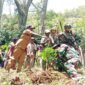 Jelang HUT TNI Ke-80, Koramil 1715-02/Kiwirok Kodim 1715/Yahukimo Bersama Masyarakat 12 Desa di Distrik Kiwirok Melaksanakan Penanaman Pohon Kopi