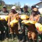 Dansatgas Yonif 4 Marinir Dampingi Bupati Kabupaten Paniai Berikan Sembako Kepada Masyarakat Yang Terkena Banjir