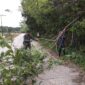 Babinsa Bersama Warga Lakukan Gotong Royong Bersihkan Dahan Pohon, Berikan Rasa Aman Pada Pengguna Jalan