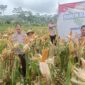 Polres Salatiga Gelar Panen Raya Jagung Kwartal III, Dukung Swasembada Pangan Nasional