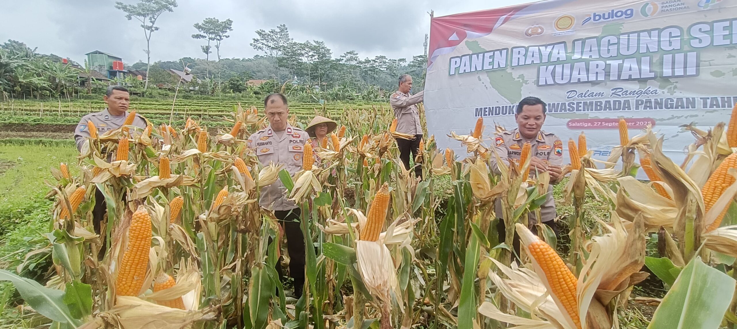 Polres Salatiga Gelar Panen Raya Jagung Kwartal III, Dukung Swasembada Pangan Nasional