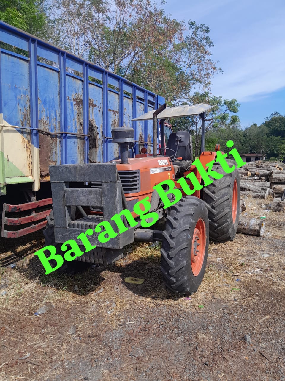 Tiga Bulan Berlalu, Pelaku Penebangan Ilegal di Probolinggo Masih Bebas, Proses Hukum Lamban