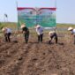Dandim 0820 Probolinggo Dukung Gerakan Nasional Ketahanan Pangan Lewat Penanaman Jagung Serentak