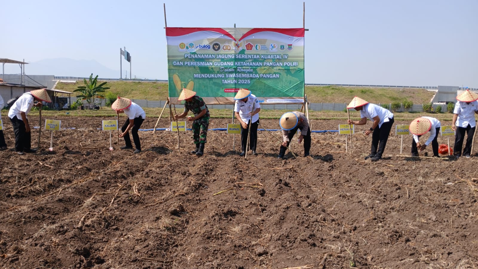 Dandim 0820 Probolinggo Dukung Gerakan Nasional Ketahanan Pangan Lewat Penanaman Jagung Serentak