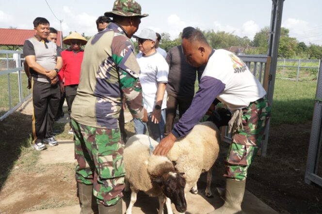 Bakti Sosial Dan Senam Bersama, Warnai Acara Tanam Pohon Dan Sebar Bibit Nila Di Lahan Integrated Farming Kodim 0808 Blitar