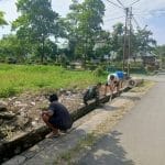 IMG-20251012-WA0268