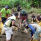 Satgas TMMD Kodim 1505/Tidore Bersama Warga Gotong Royong Ambil Material Pasir Untuk Pembangunan Lapangan Bola Voli
