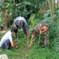Babinsa Dan Warga Ngadirejo, Tanam Pohon Beringin Dan Saman Untuk Lestarikan Alam Dan Sumber Air