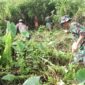 Kodim 1002/HST Dukung Pembangunan Koperasi Merah Putih Desa Melalui Kegiatan Gotong Royong