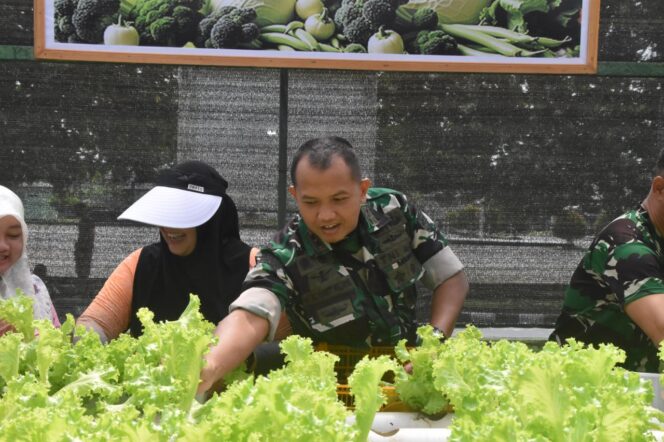 
					Dandim 1710/Mimika Bersama Ketua Persit KCK Cab. XXXV Melaksanakan Panen Slada Di Kebun Hidroponik Mimosa Persit KCK Cab. XXXV Kodim 1710/Mimika