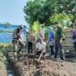 Tak Hanya Pegang Senjata, Prajurit Kodim 0820/Probolinggo Tanam Pisang Demi Kemandirian Pangan Rakyat Tak Hanya Pegang Senjata, Prajurit Kodim 0820/Probolinggo Tanam Pisang Demi Kemandirian Pangan Rakyat